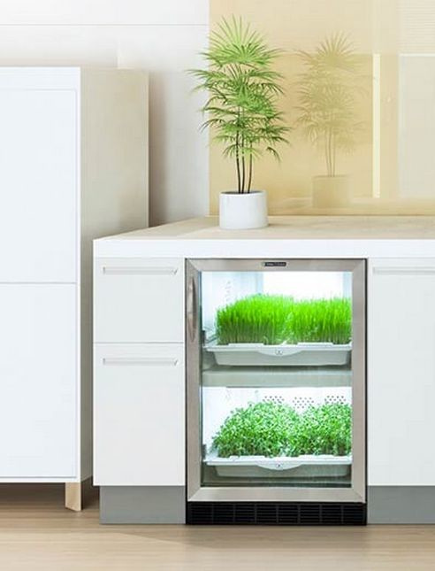 Urban Cultivator для домашнего использования