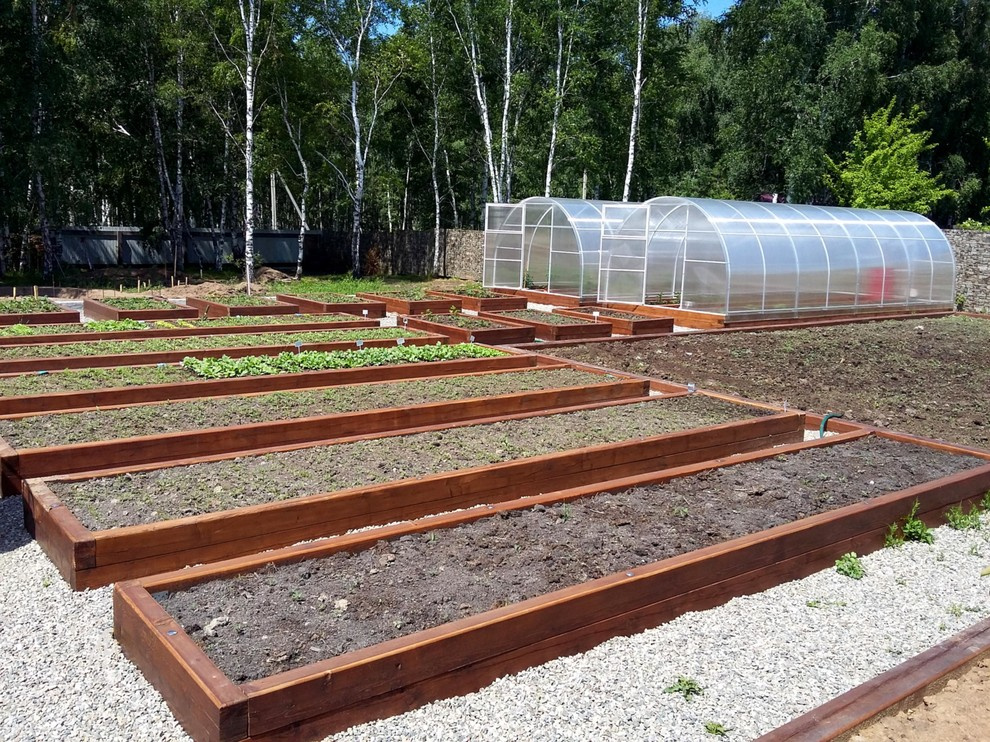 Белый ветер