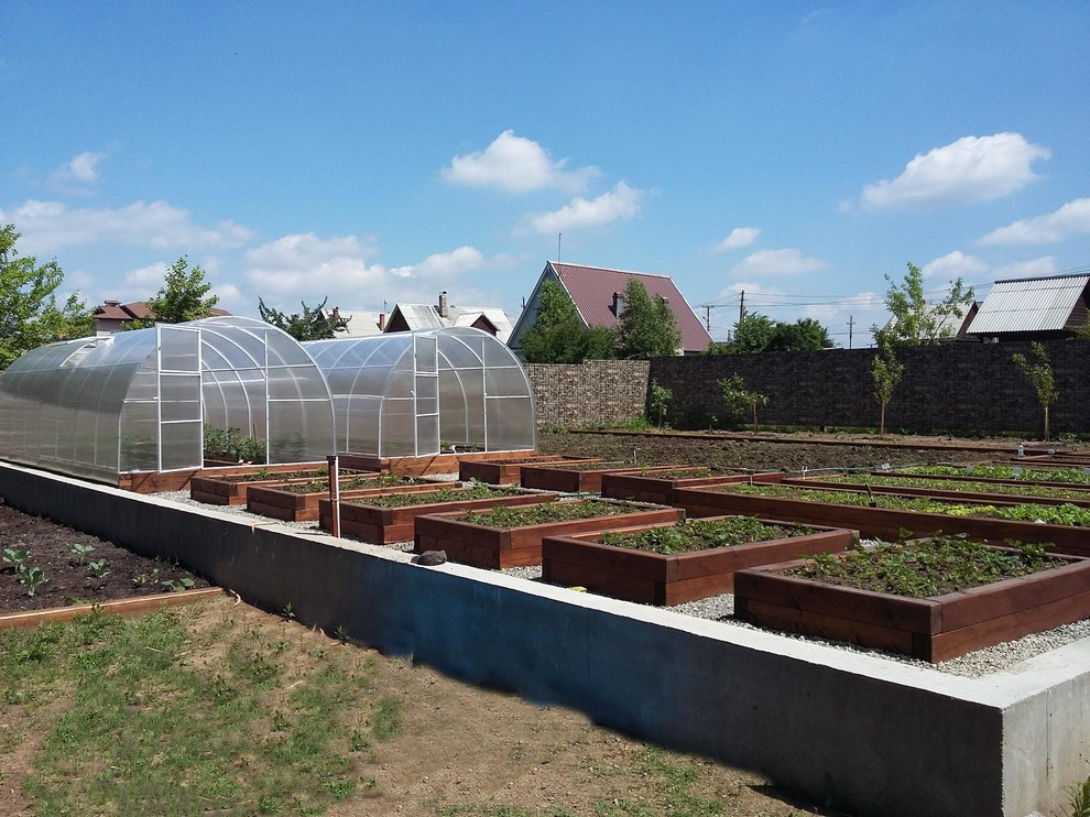 Белый ветер