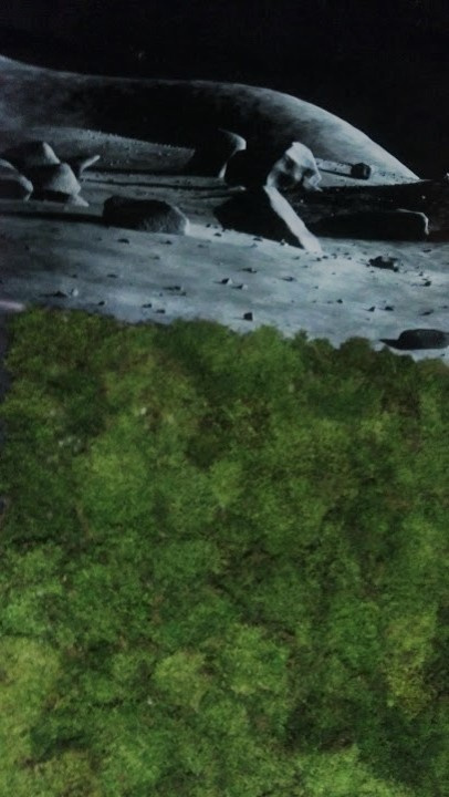 Живой мох в интерьере