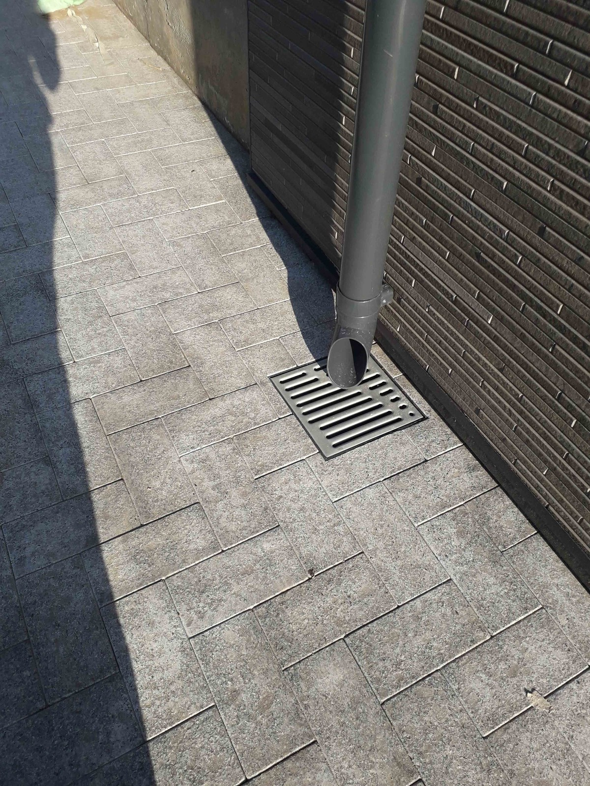 Ландшафтный проект в поселке "Солнечный 2"