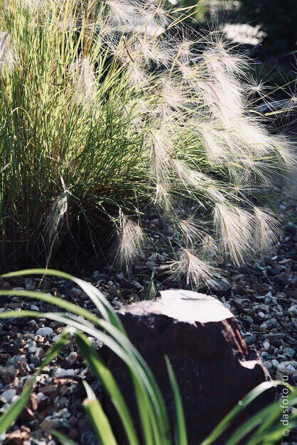 "реконструкция водоема"