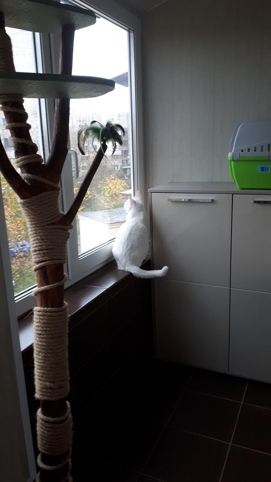 Малогабаритная двухкомнатная квартира