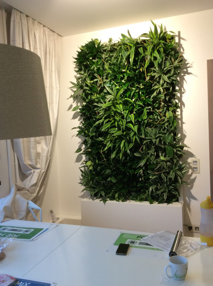 Вертикальный сад в гостинной