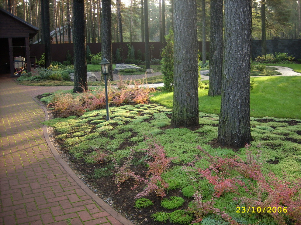 реставрация сада