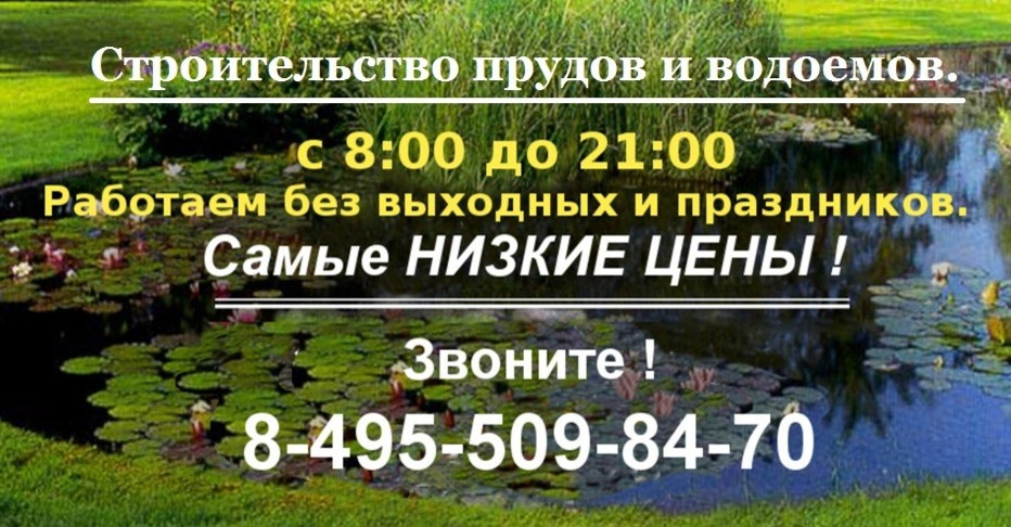 Строительство пруда