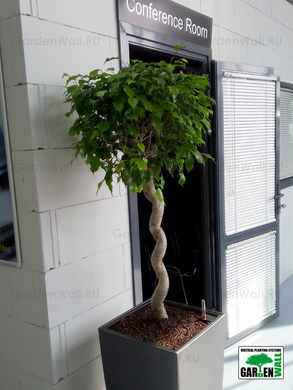 Озеленение интерьера с кашпо Lechuza