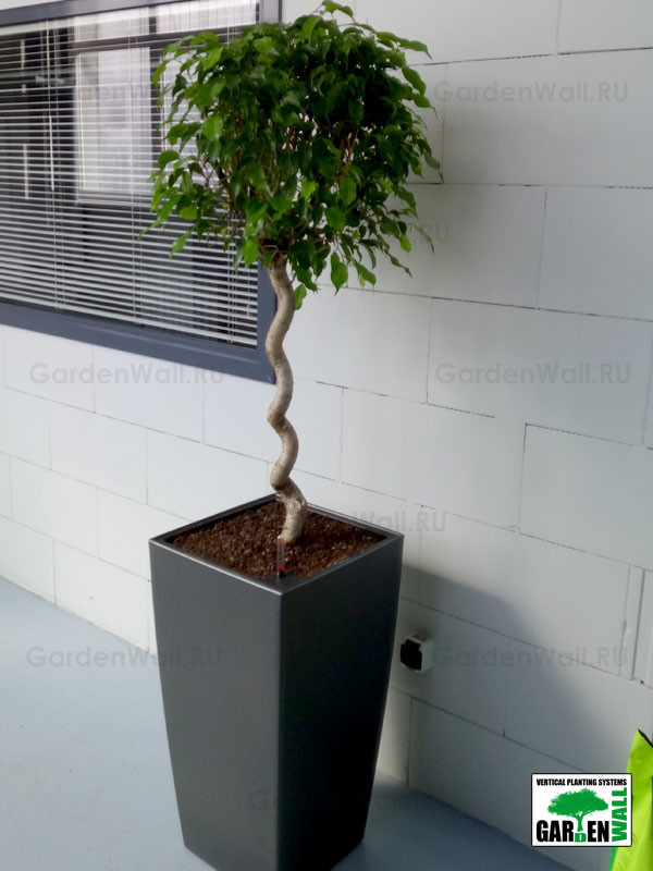 Озеленение интерьера с кашпо Lechuza