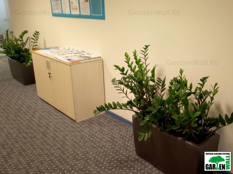 Озеленение интерьера с кашпо Lechuza