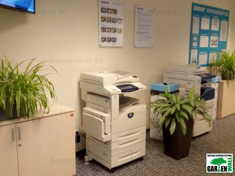 Озеленение интерьера с кашпо Lechuza