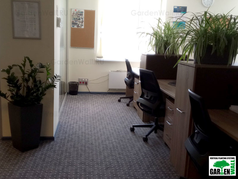 Озеленение интерьера с кашпо Lechuza