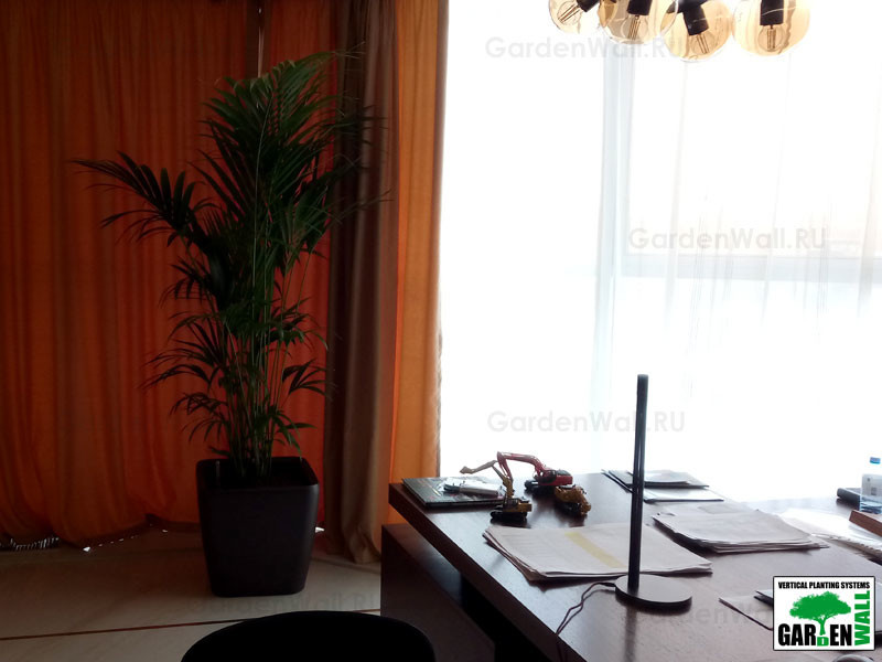 Озеленение интерьера с кашпо Lechuza