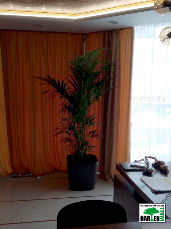 Озеленение интерьера с кашпо Lechuza