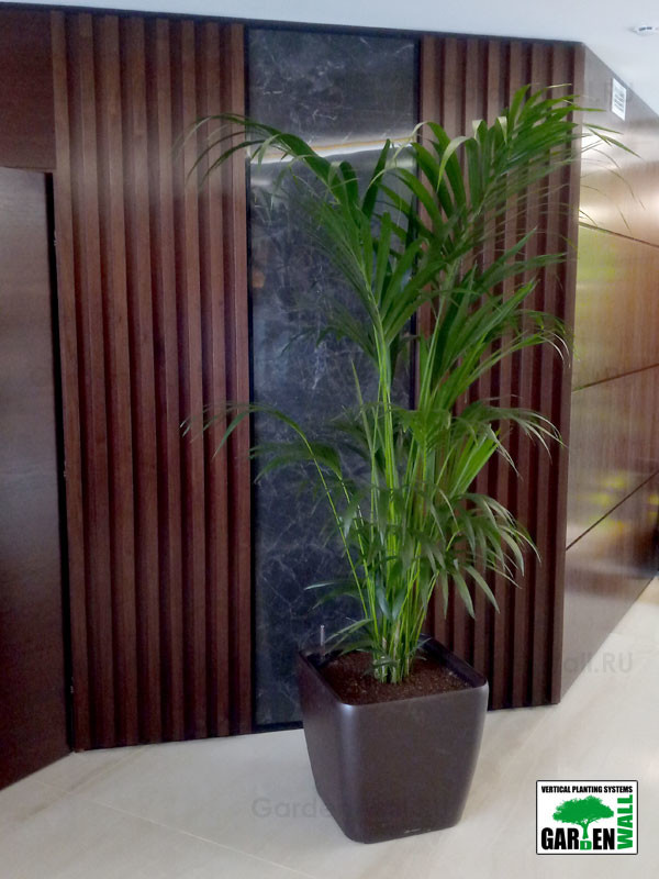 Озеленение интерьера с кашпо Lechuza