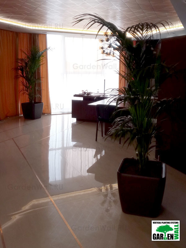 Обложка проекта: Озеленение интерьера с кашпо Lechuza