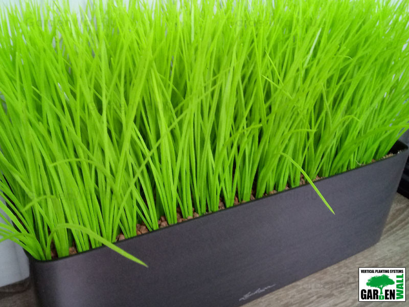 Искусственная трава в озеленение интерьера