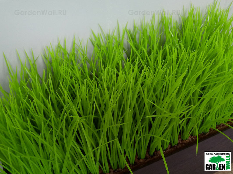 Искусственная трава в озеленение интерьера