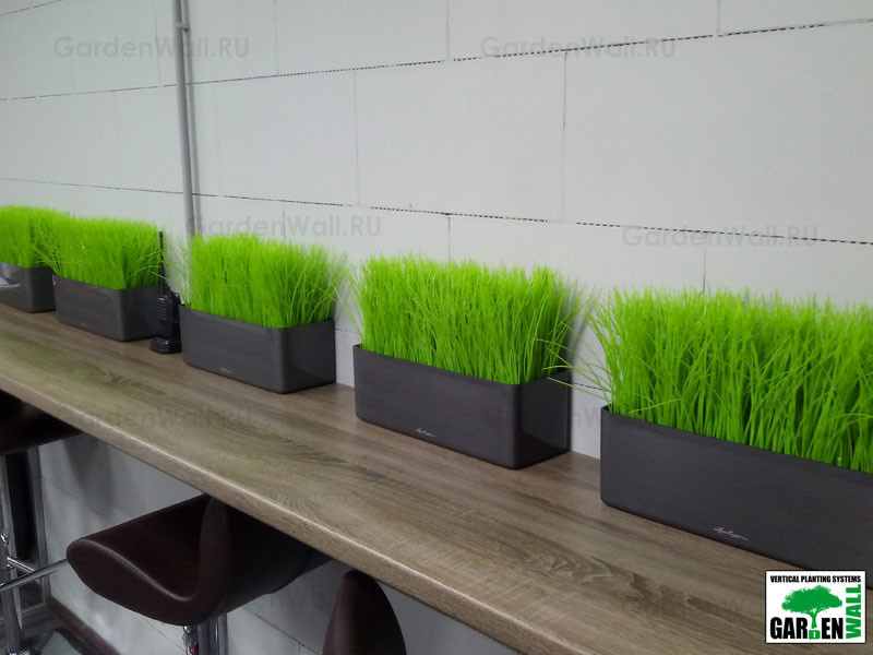 Искусственная трава в озеленение интерьера