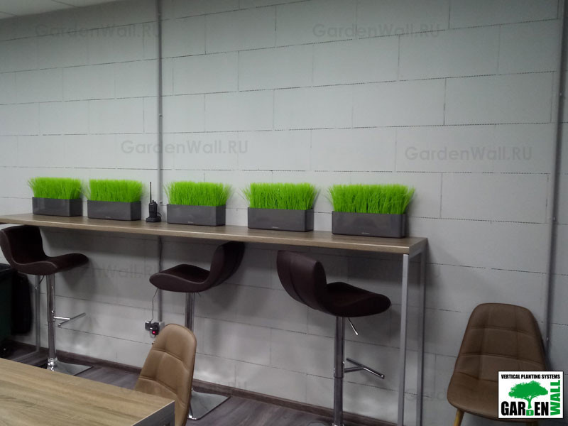 Искусственная трава в озеленение интерьера