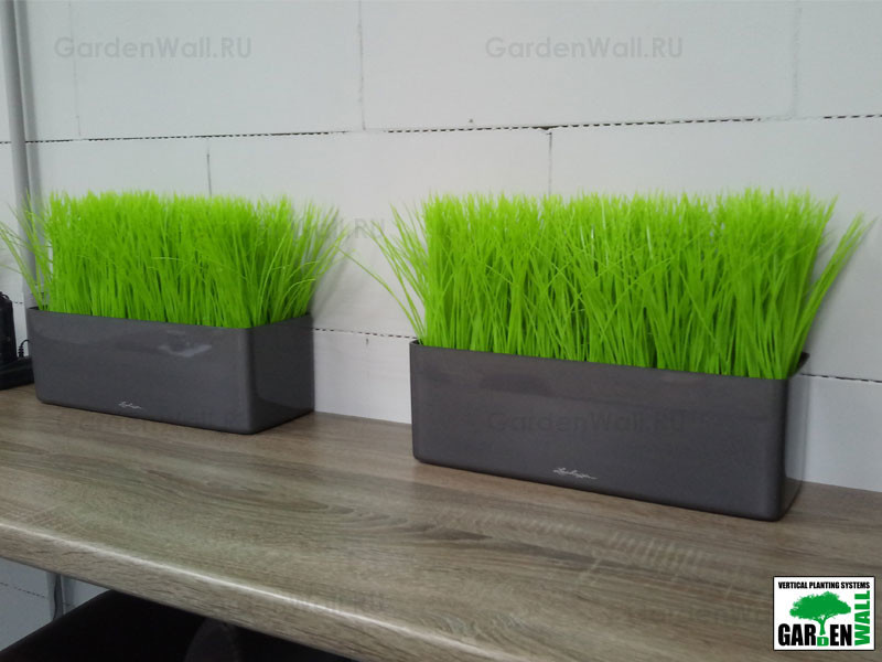 Искусственная трава в озеленение интерьера