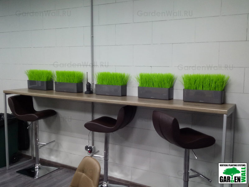 Искусственная трава в озеленение интерьера