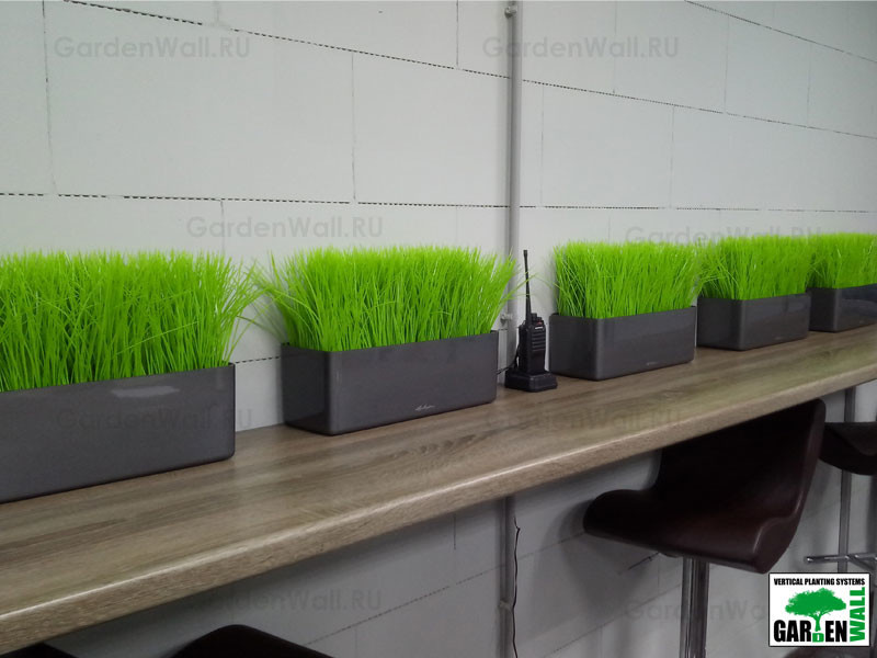Искусственная трава в озеленение интерьера
