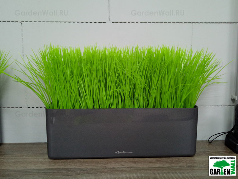 Искусственная трава в озеленение интерьера