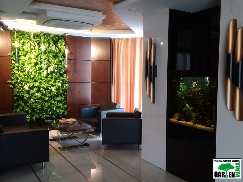 Вертикальное озеленение живыми растениями в кабинете