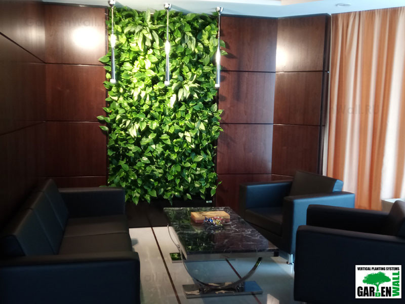 Обложка проекта: Вертикальное озеленение живыми растениями в кабинете