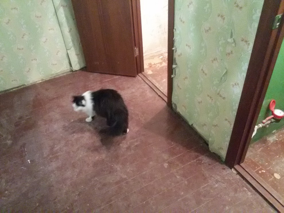 Перепланировка