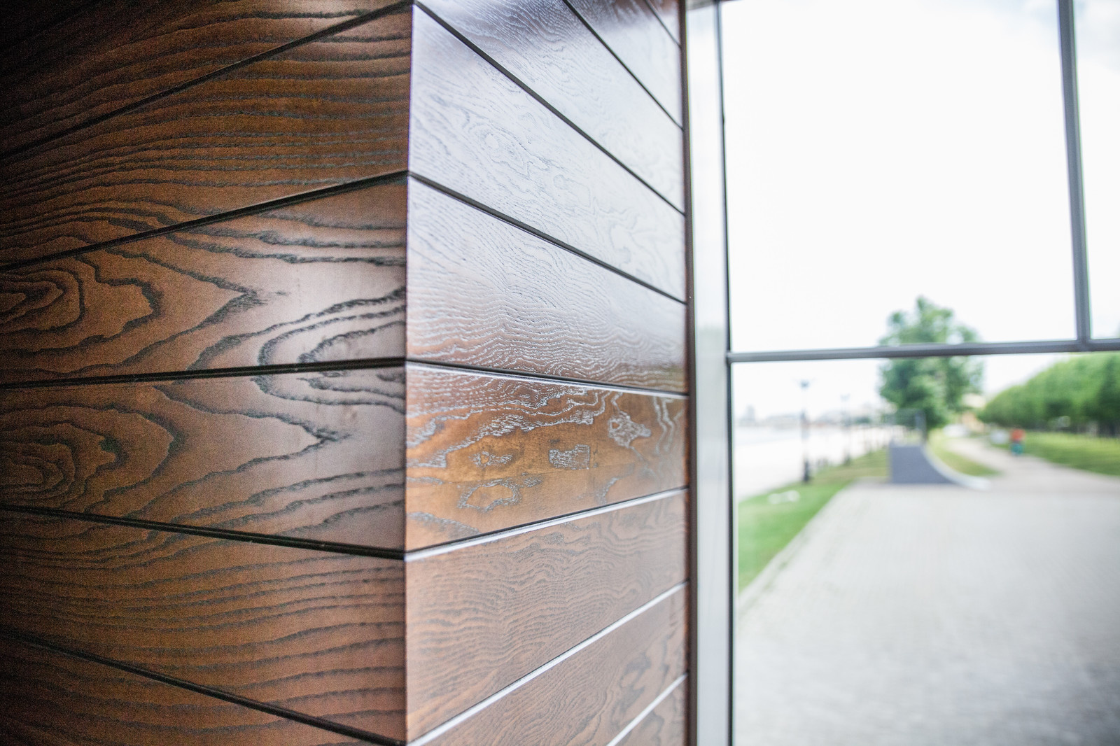 Гастропаб Конь & Дельфин