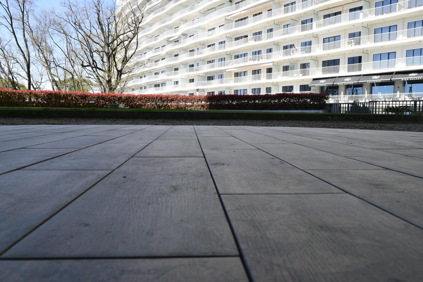 Обложка проекта: Королевский парк