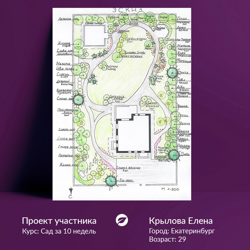 Чудесная страна