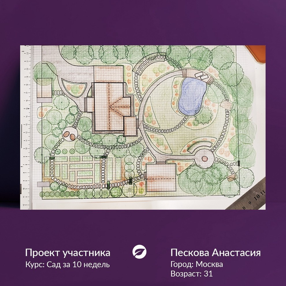 Однажды в королевстве N...