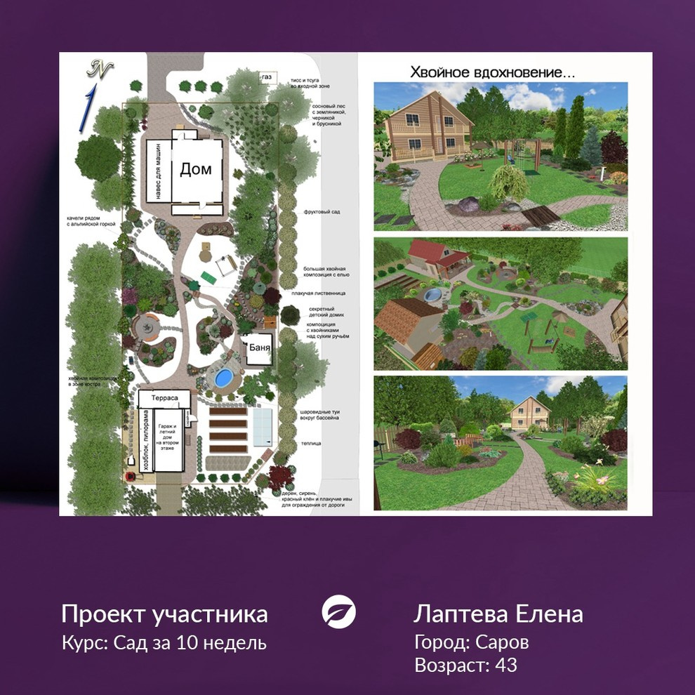 Хвойное вдохновение