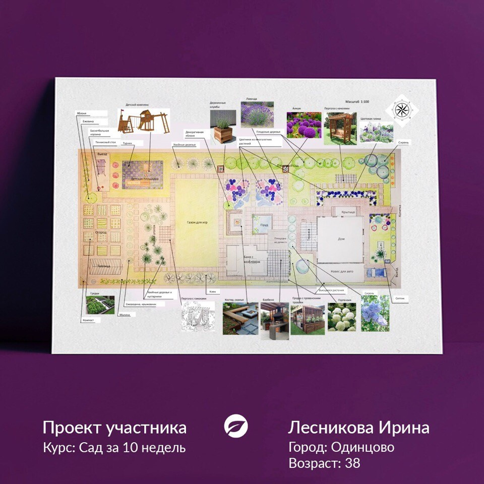 Лавандовый сад