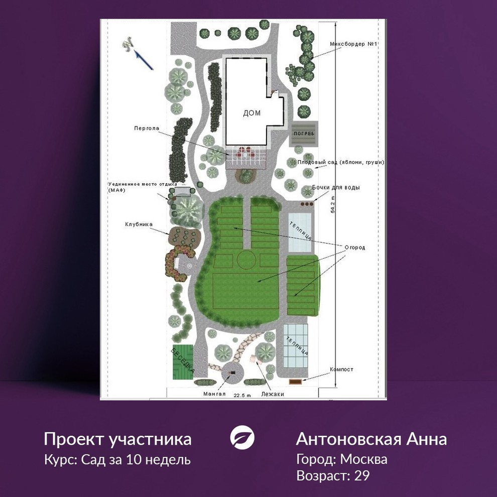 «Овощной рок-н-ролл»