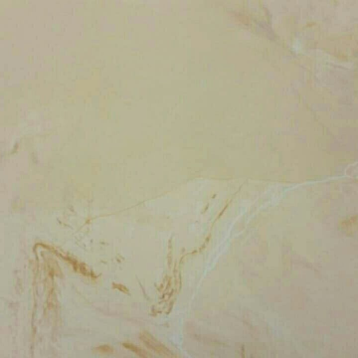 Обложка проекта: Квартира на Арбат.