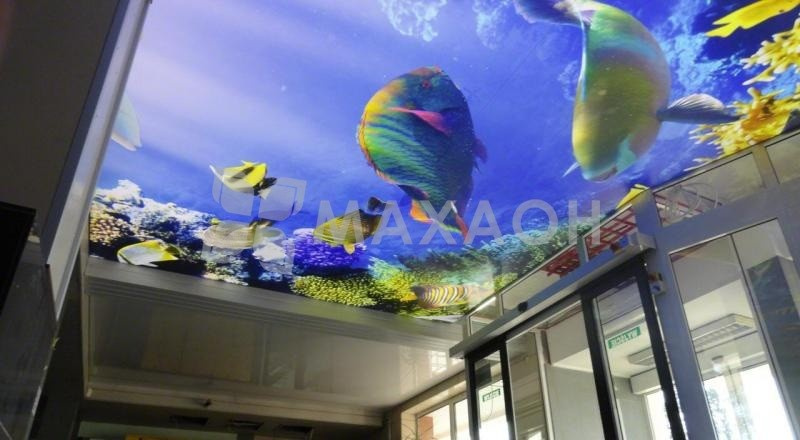 Натяжные потолки