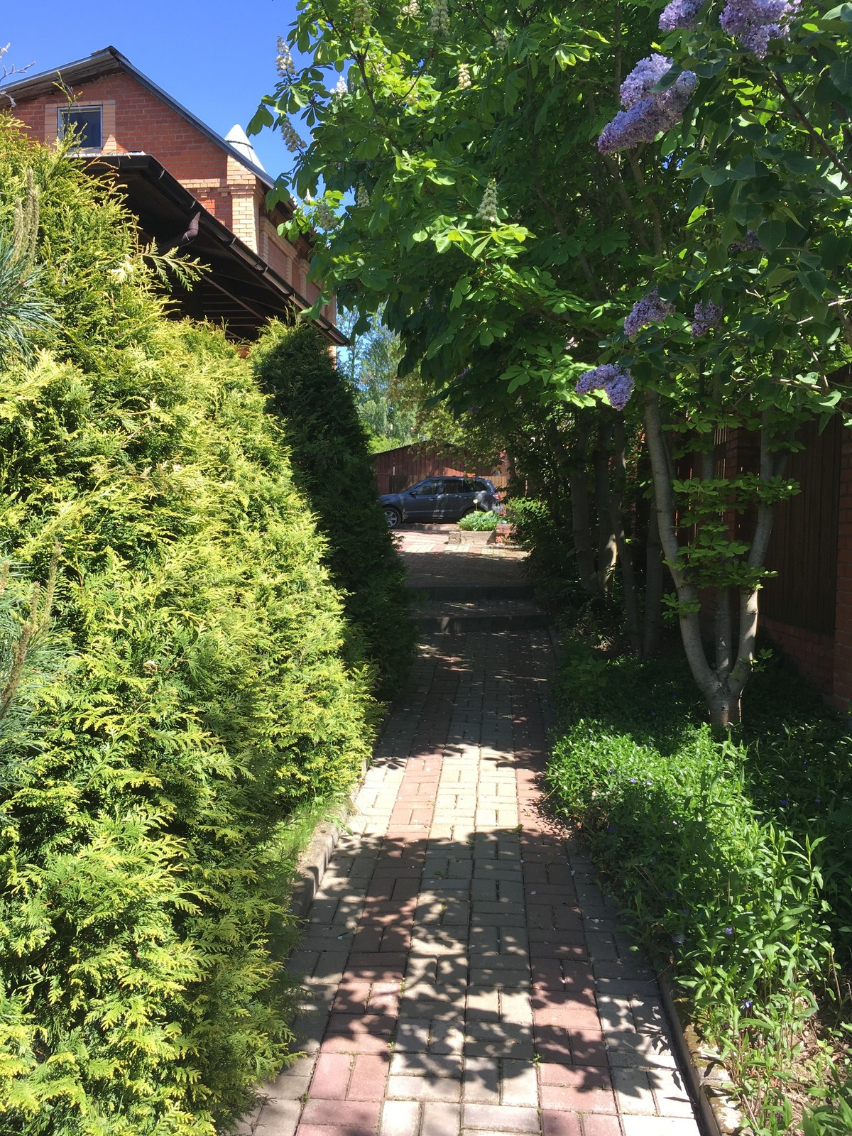 Сад в Бабынинском районе Калужской области