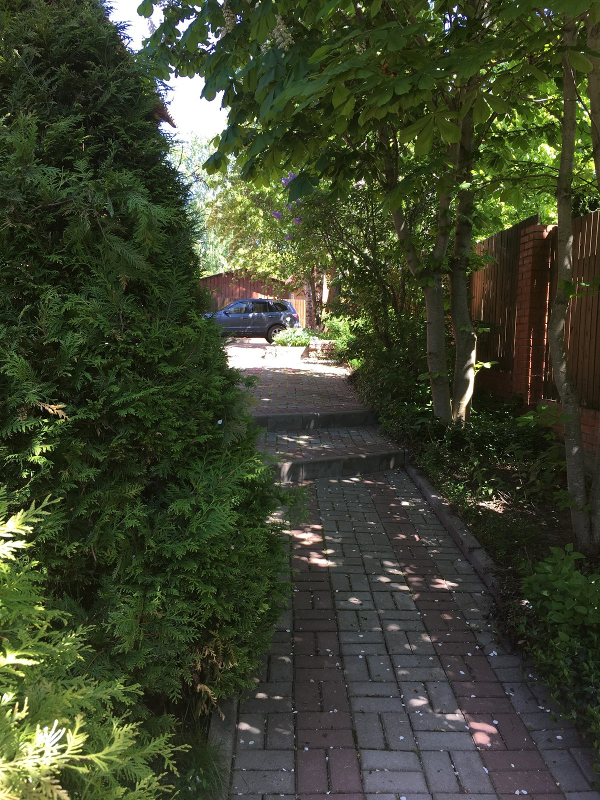 Сад в Бабынинском районе Калужской области