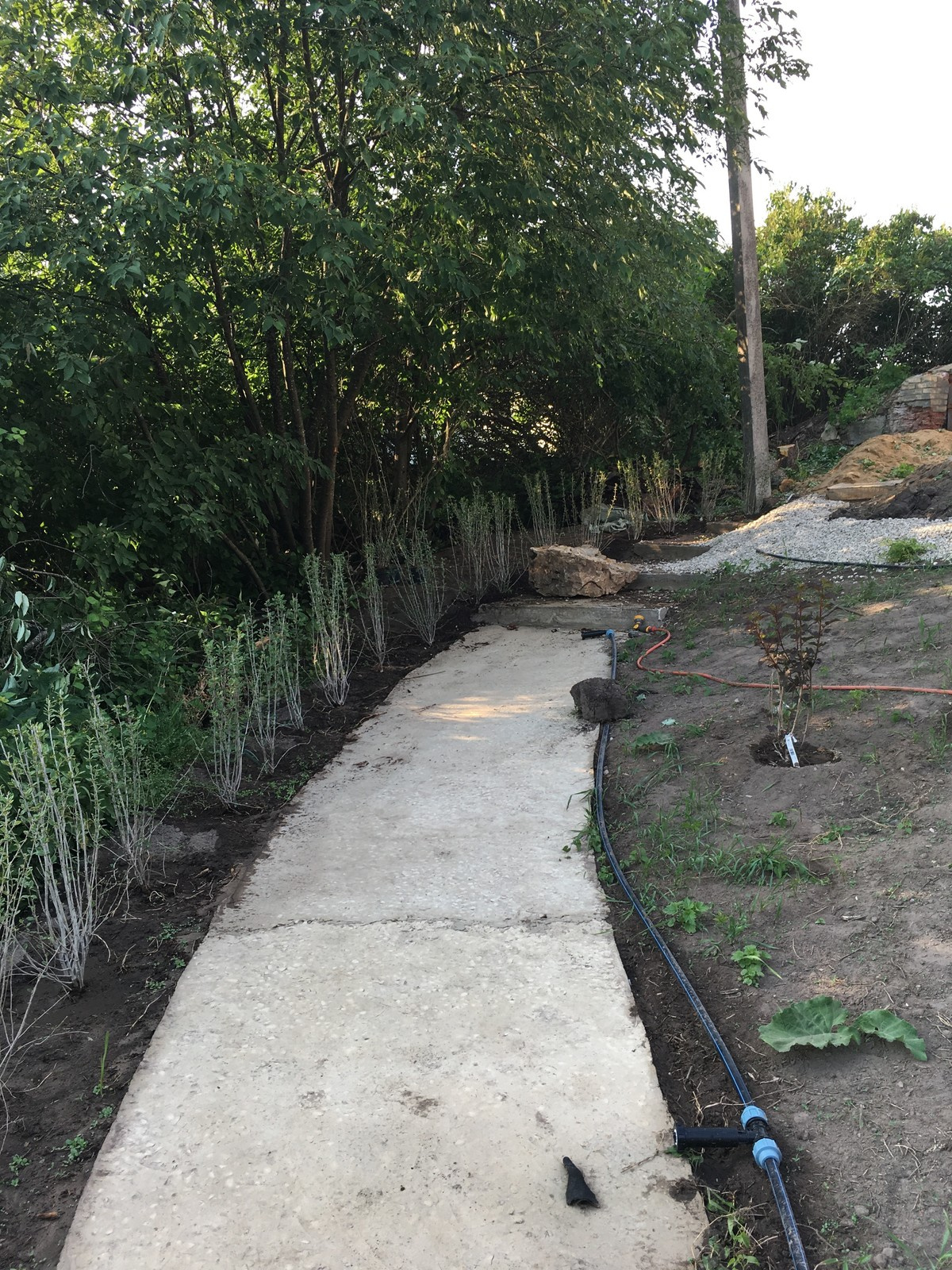 Сад в Старое Уткино Калужской области, процесс создания