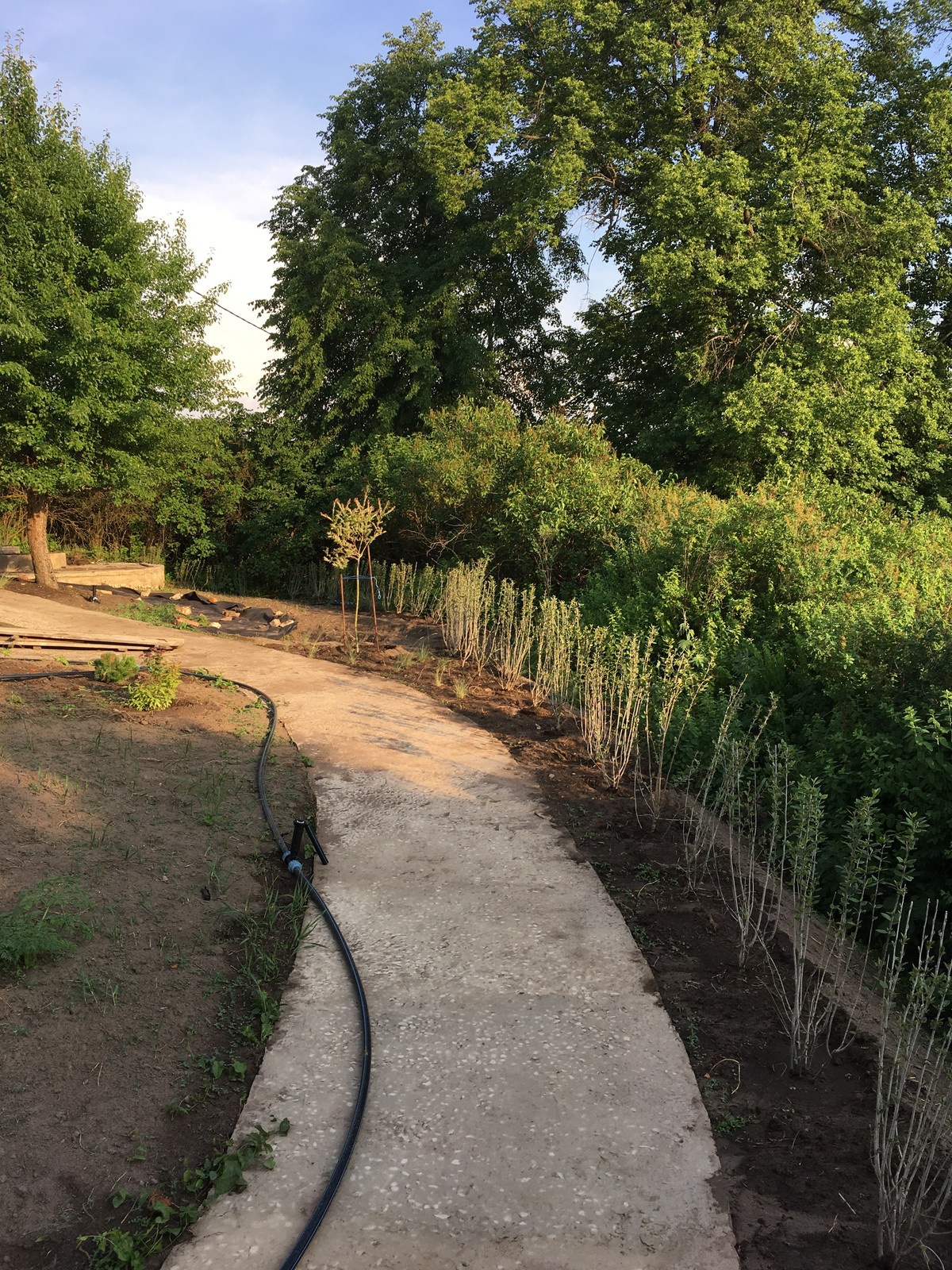 Сад в Старое Уткино Калужской области, процесс создания