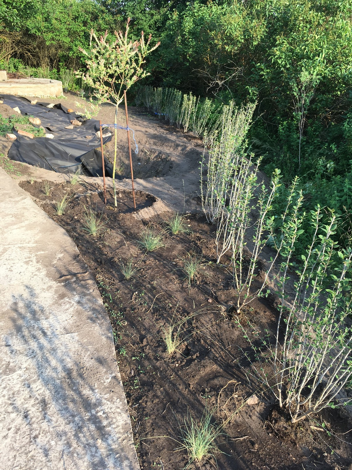 Сад в Старое Уткино Калужской области, процесс создания