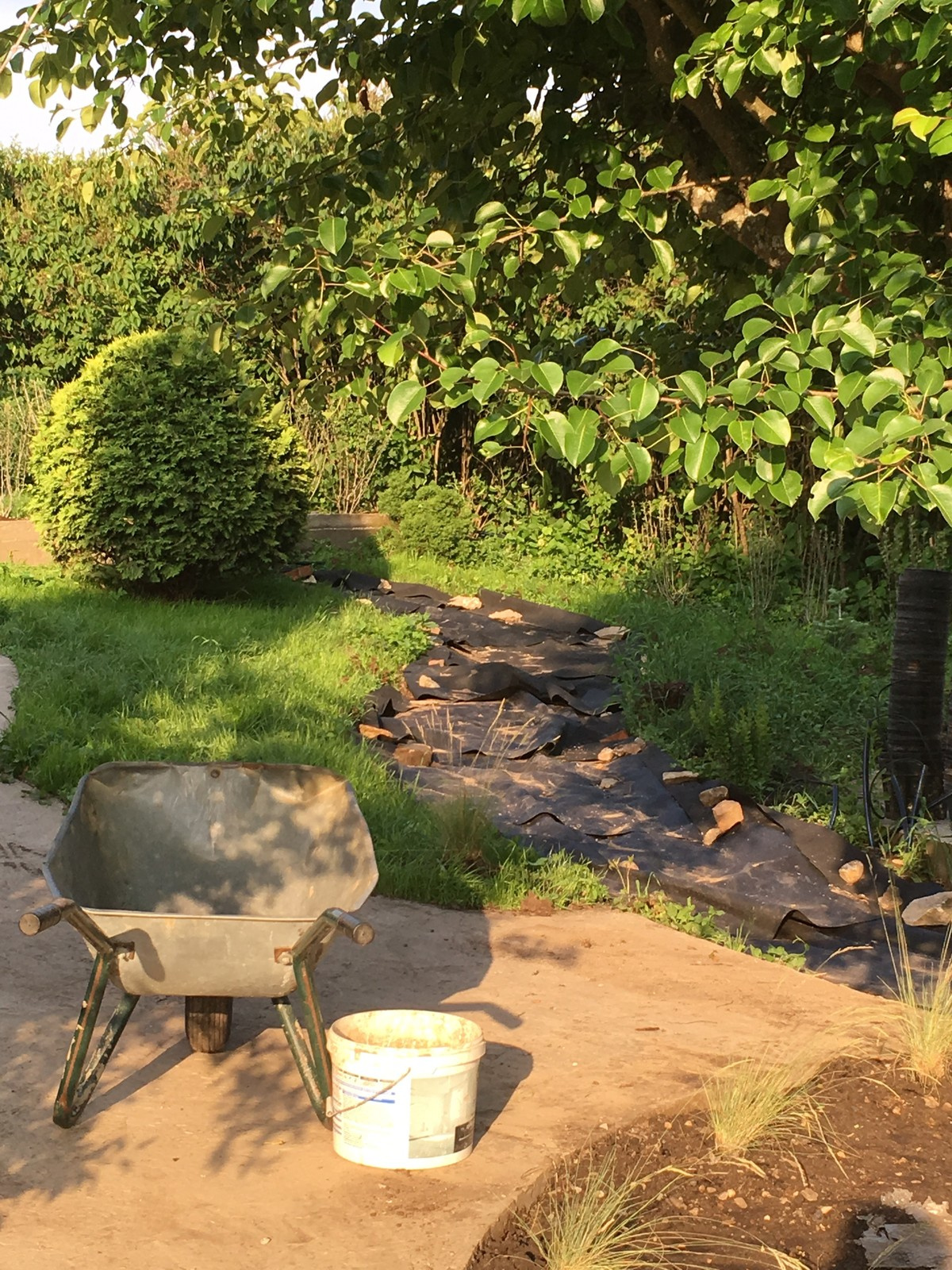 Сад в Старое Уткино Калужской области, процесс создания