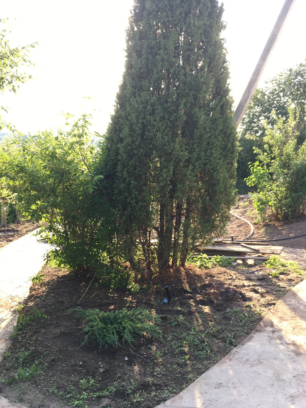 Сад в Старое Уткино Калужской области, процесс создания
