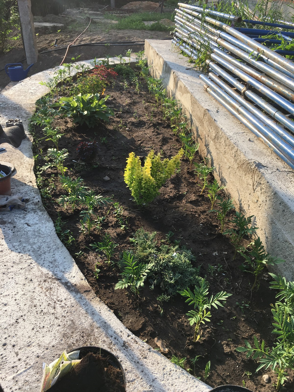 Сад в Старое Уткино Калужской области, процесс создания