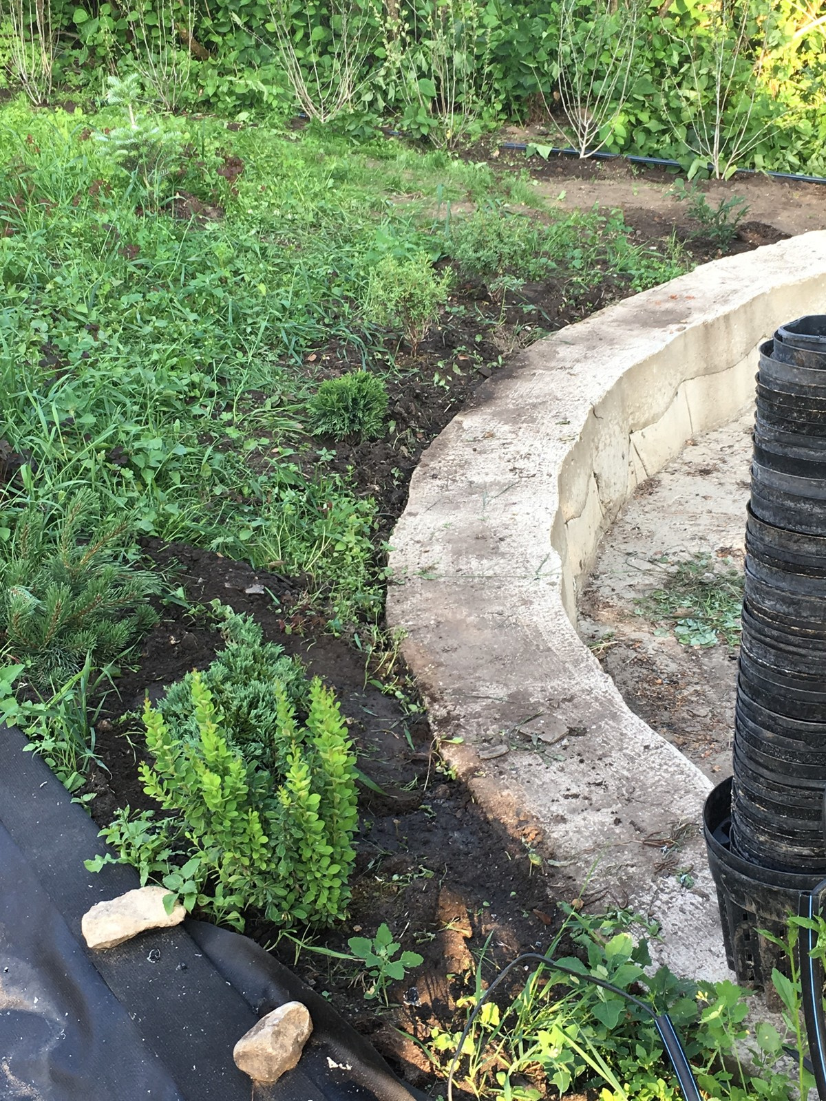 Сад в Старое Уткино Калужской области, процесс создания