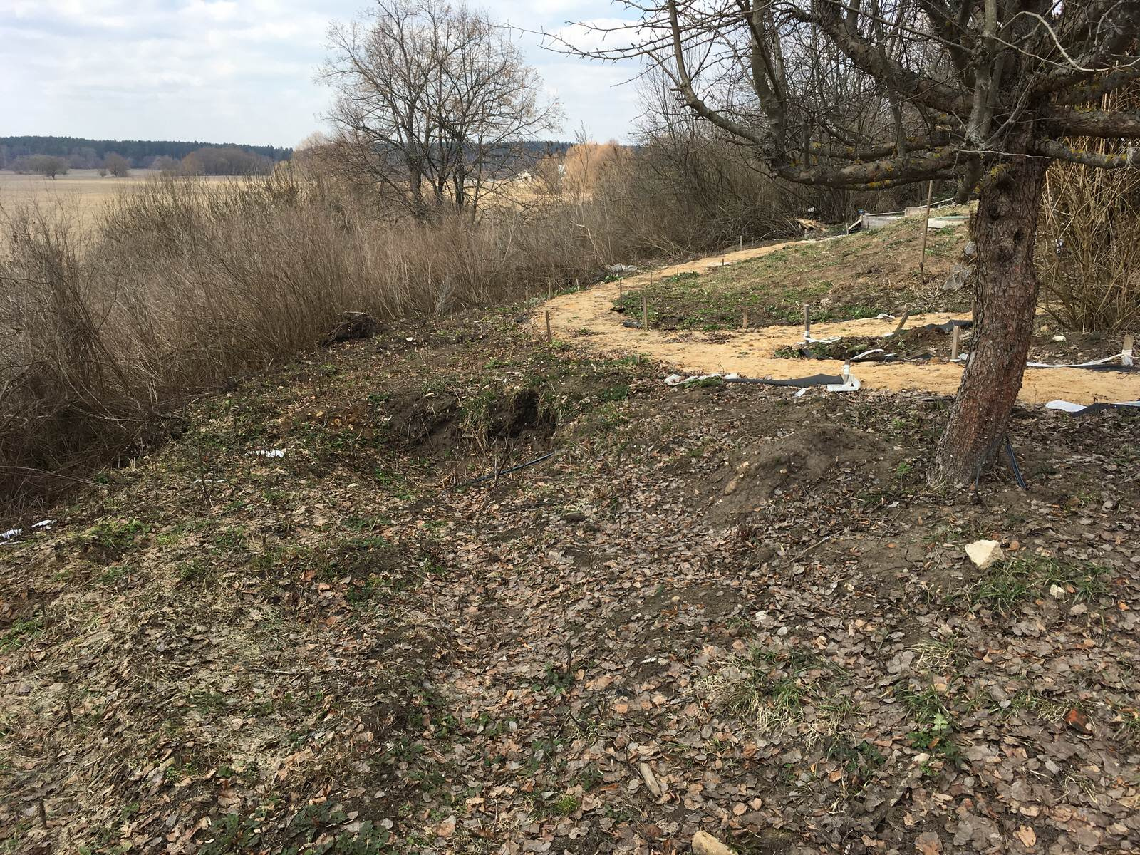 Сад в Старое Уткино Калужской области, процесс создания