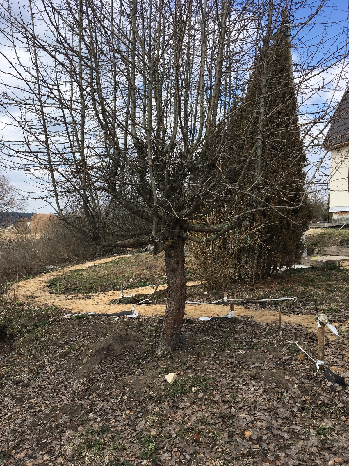 Сад в Старое Уткино Калужской области, процесс создания